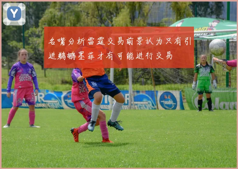 名嘴分析雷霆交易前景认为只有引进鹈鹕墨菲才有可能进行交易