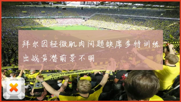 拜尔因轻微肌肉问题缺席多特训练出战黄潜前景不明